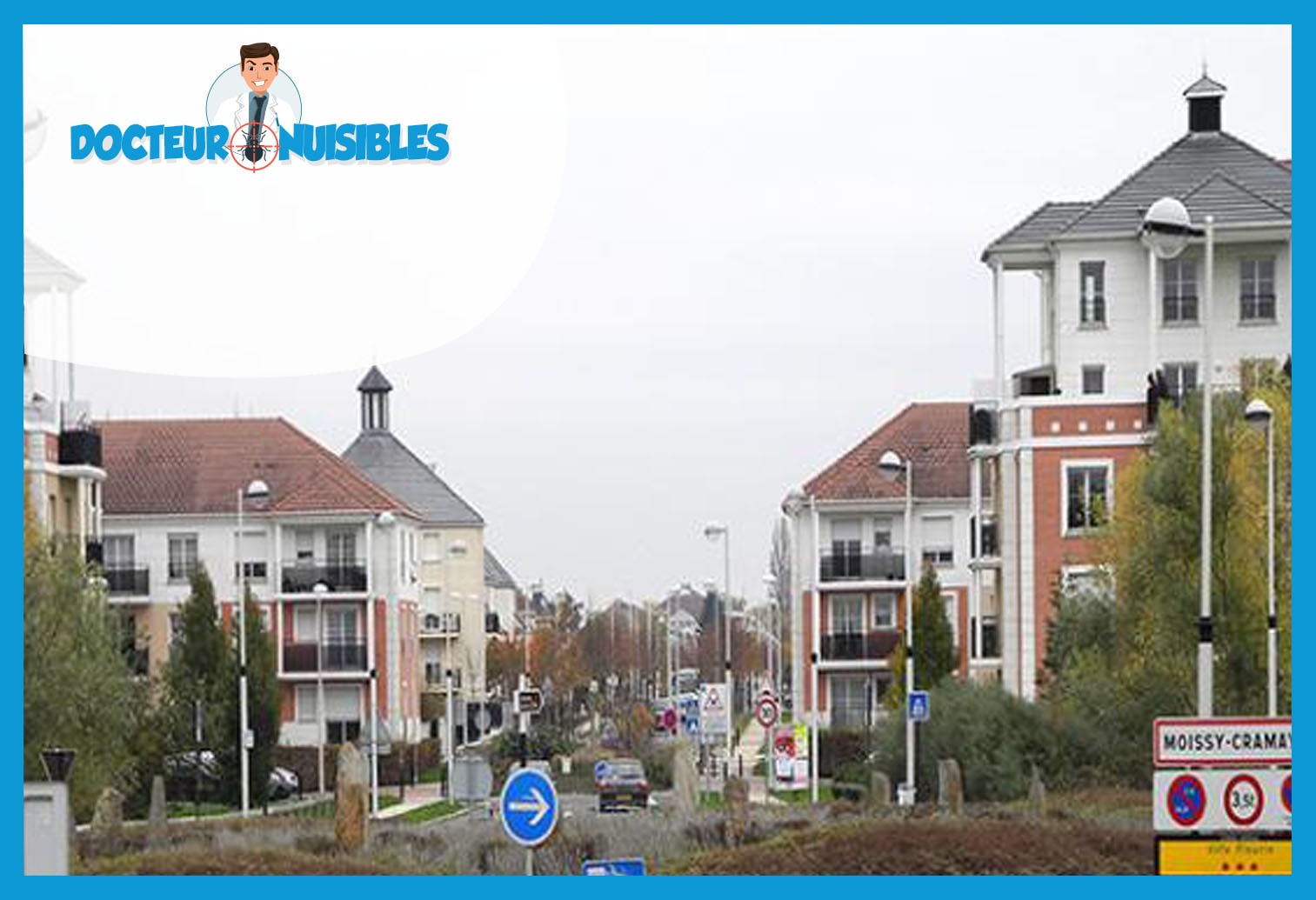 Dératisation à Moissy Cramayel