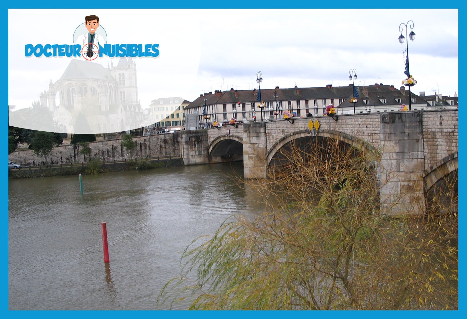 Dératisation à Montereau Fault Yonne