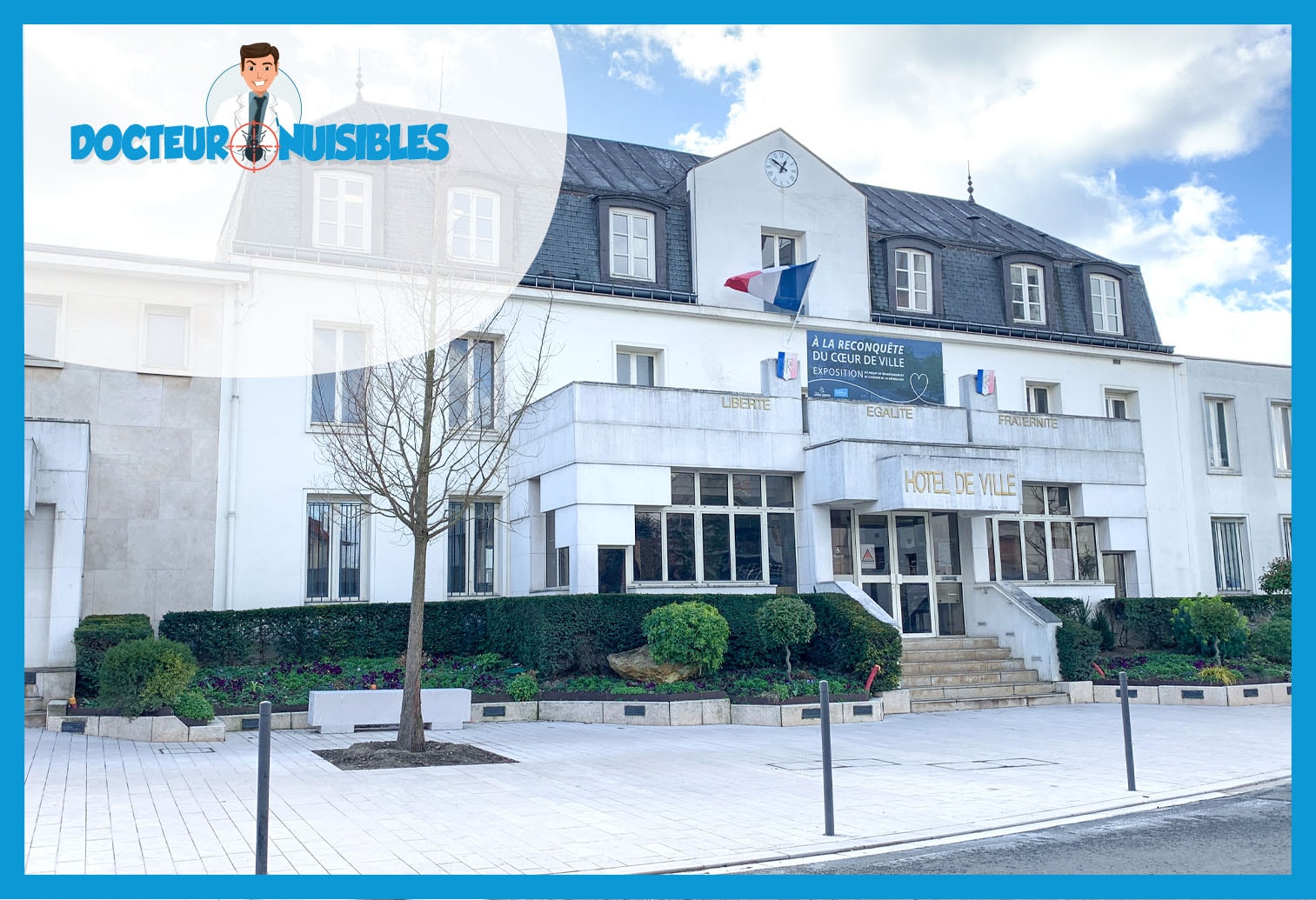 Punaises de lit à Montgeron