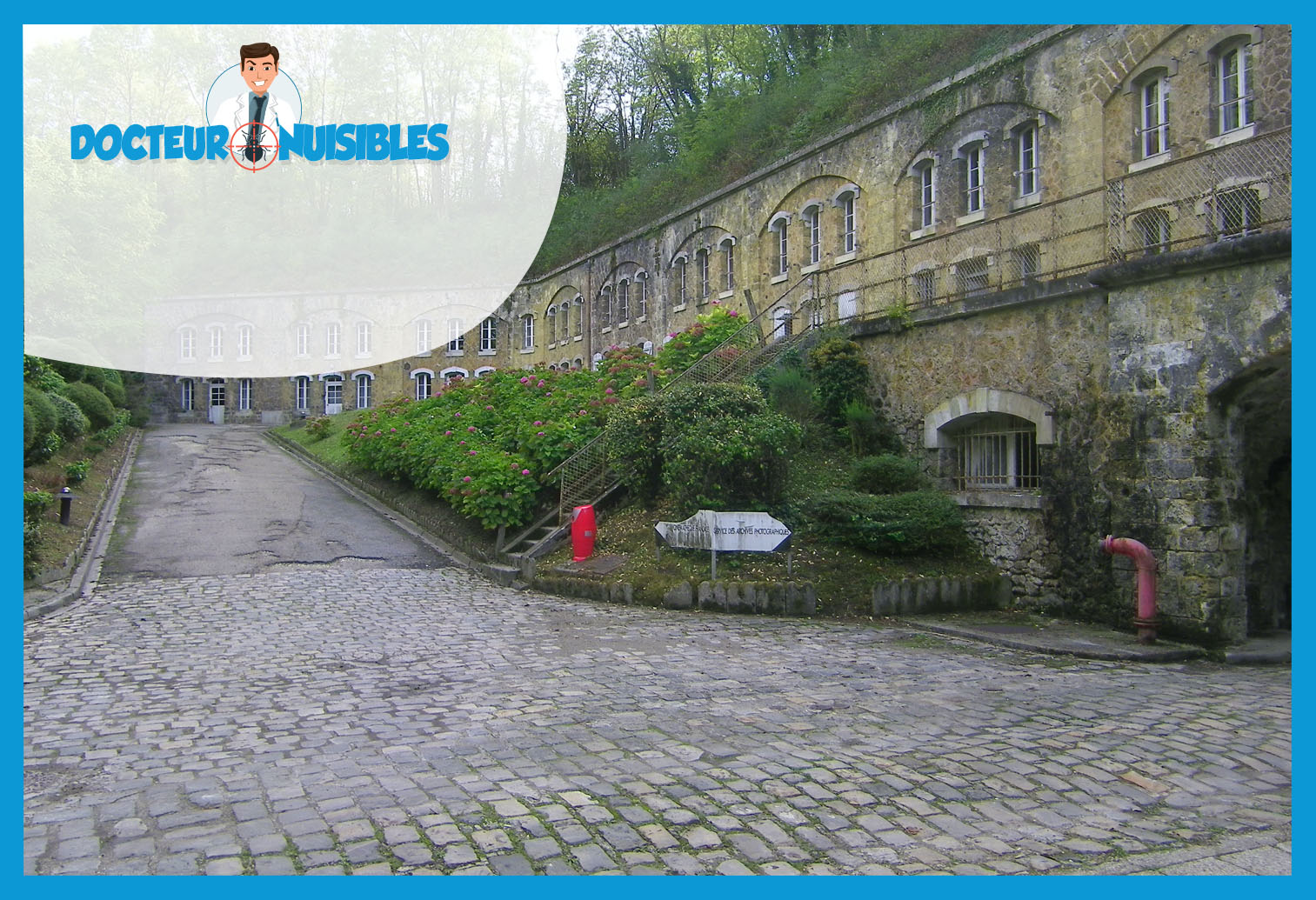 Désinsectisation à Montigny le Bretonneux