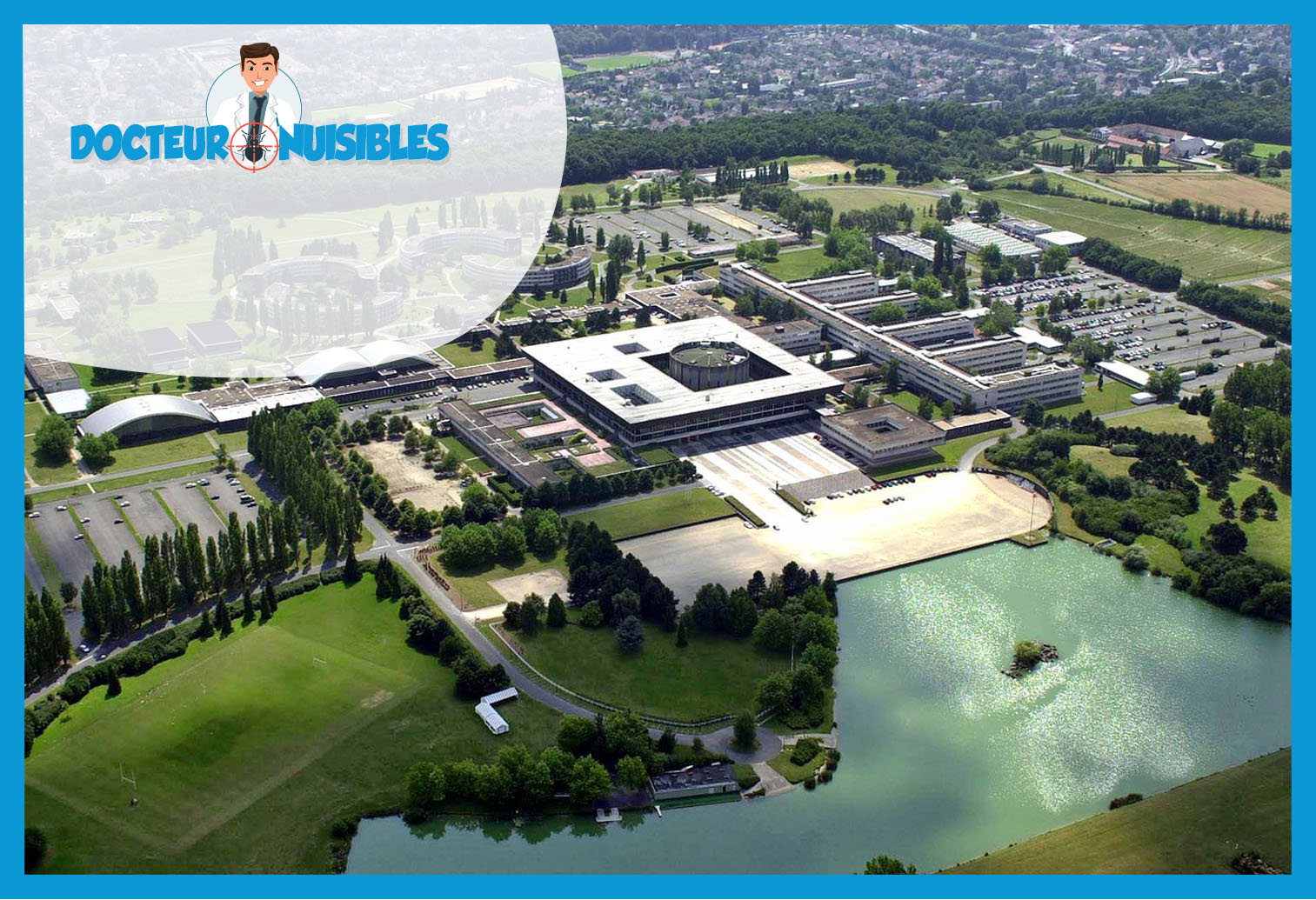 Punaises de lit à Palaiseau