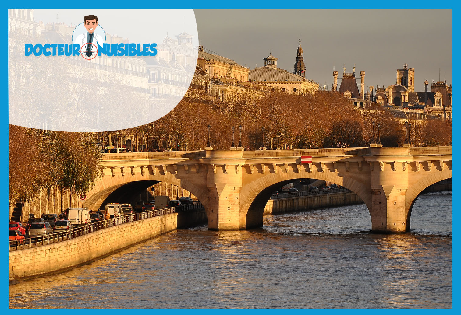 Punaises de lit à Paris 1