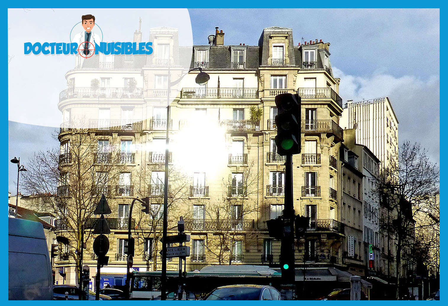 Punaises de lit à Paris 11