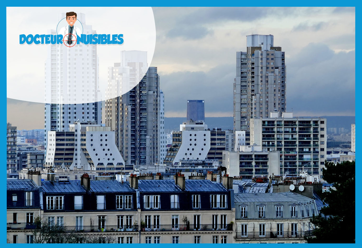 Punaises de lit à Paris 19