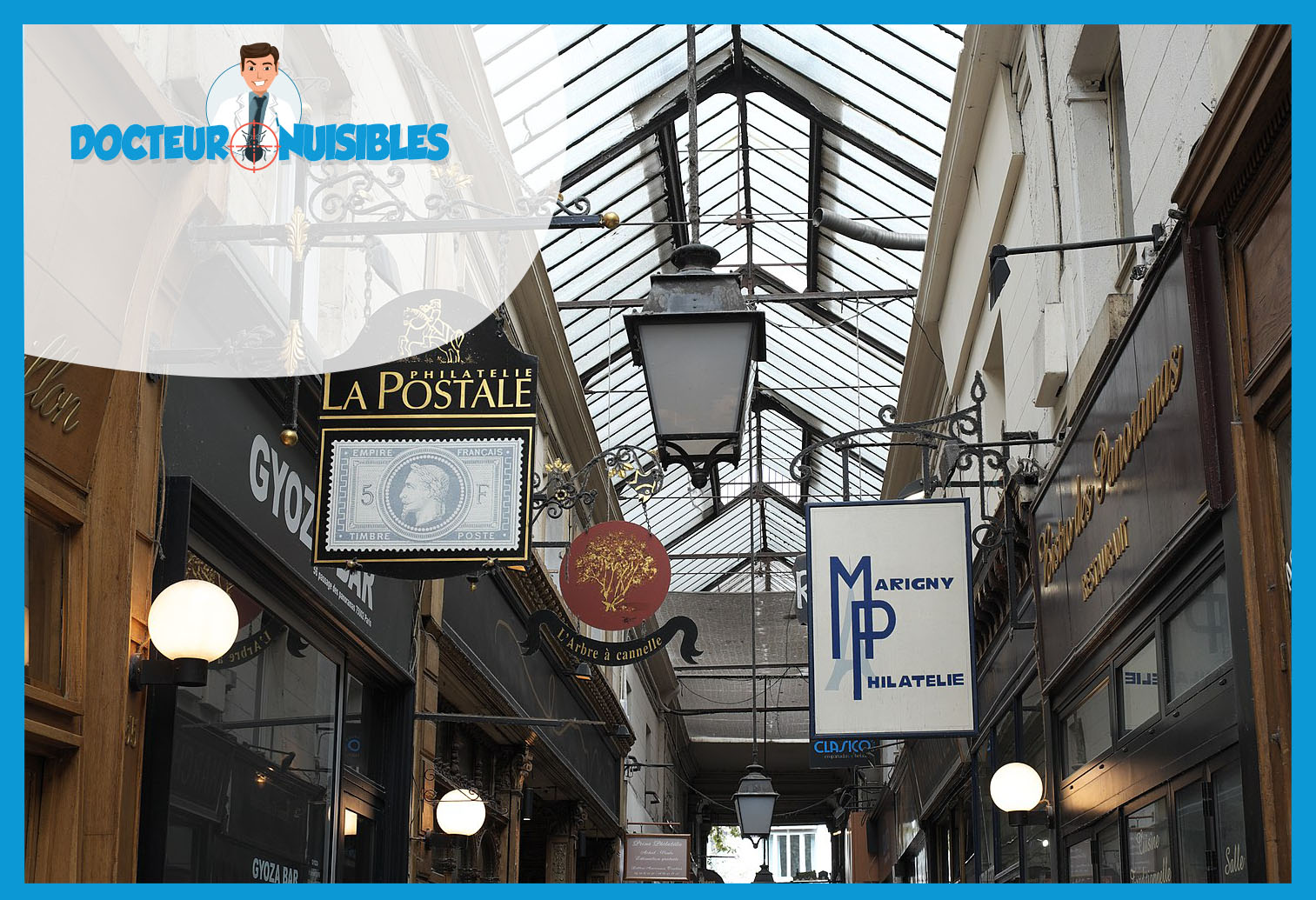 Punaises de lit à Paris 2