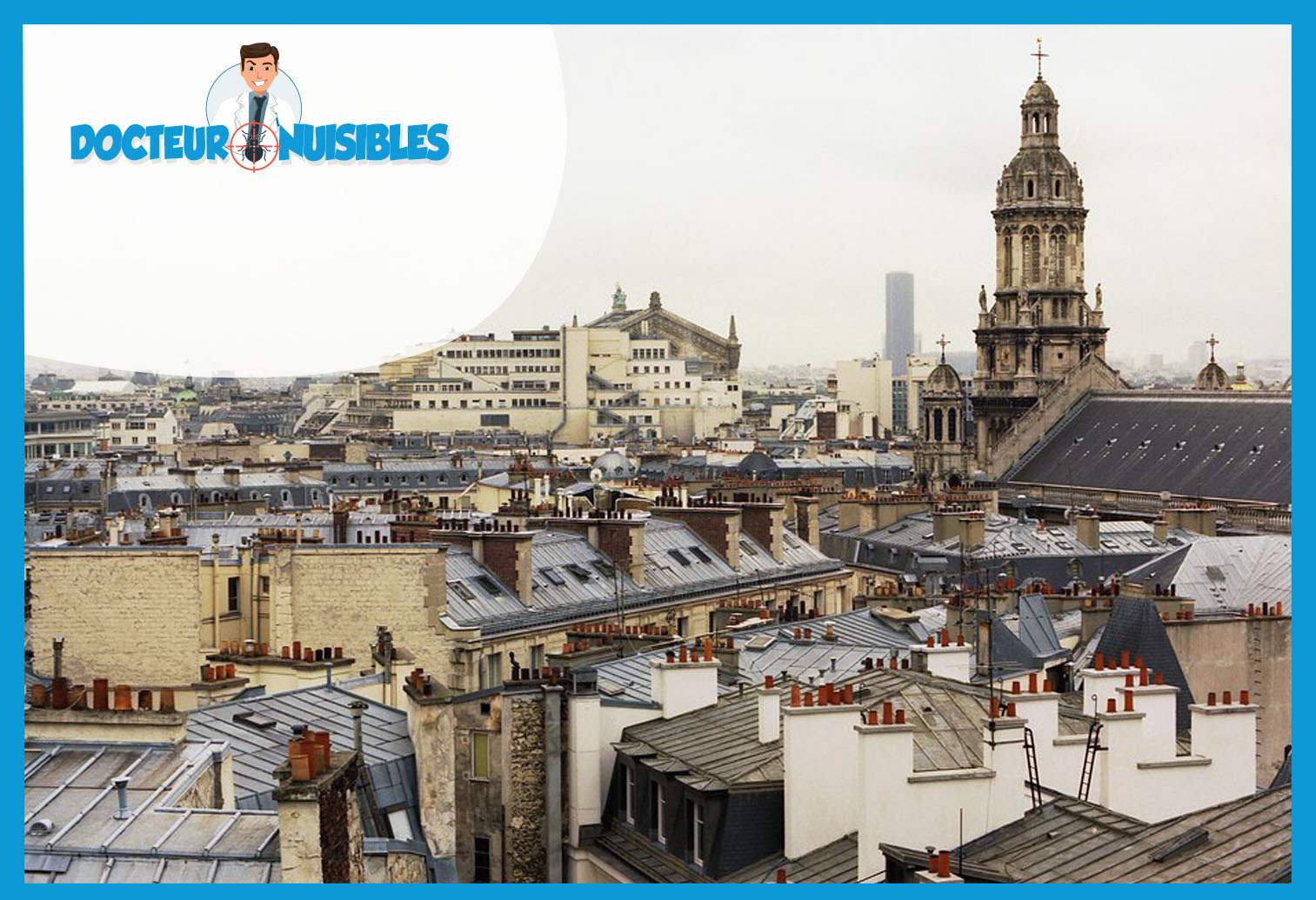 Punaises de lit à Paris 3