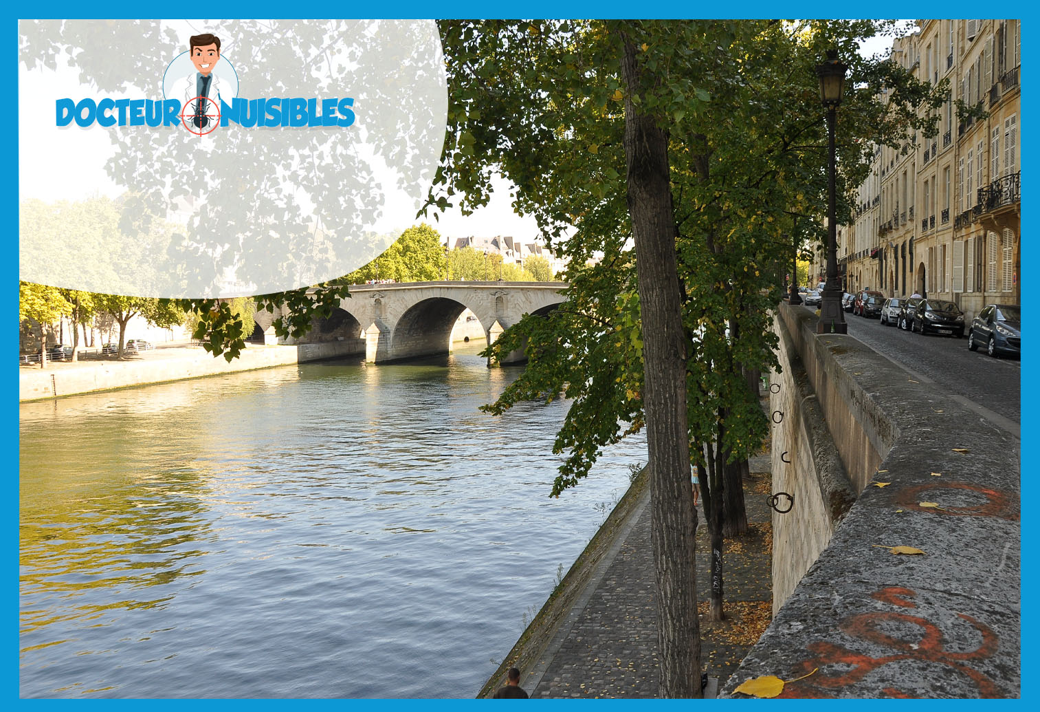 Punaises de lit à Paris 4