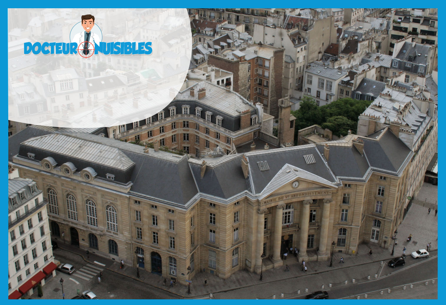 Punaises de lit à Paris 5