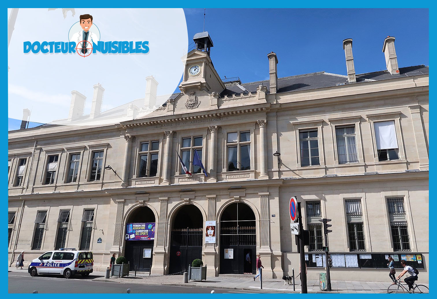 Punaises de lit à Paris 6