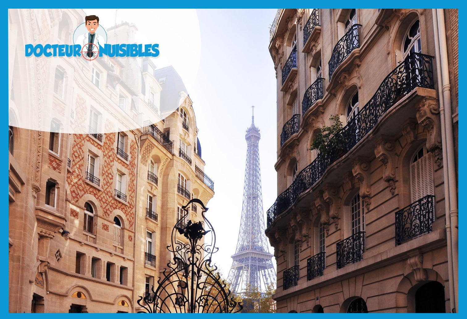 Punaises de lit à Paris 7