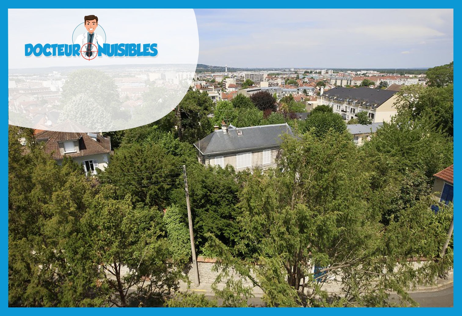 Désinsectisation à Poissy