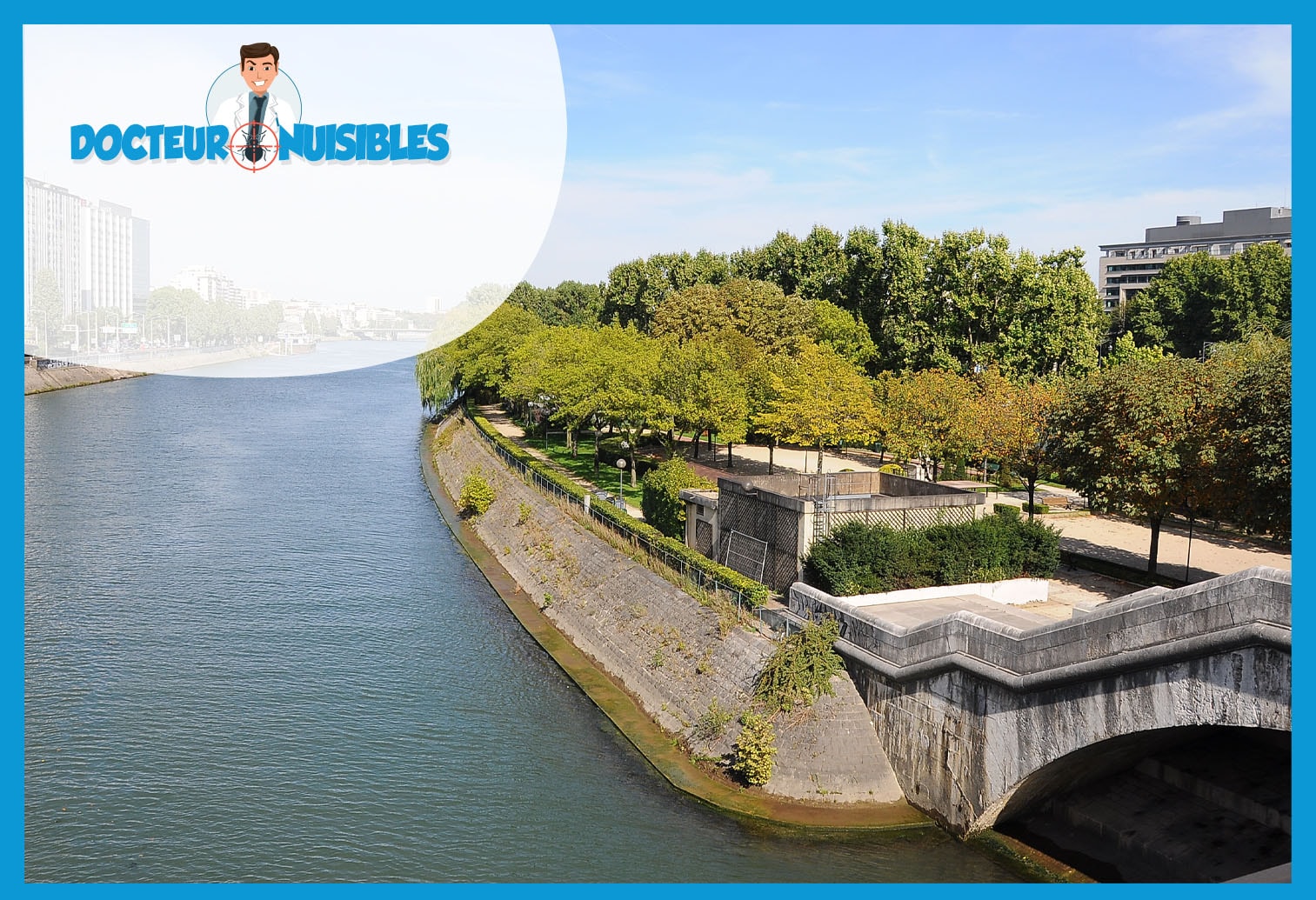 Désinsectisation à Puteaux