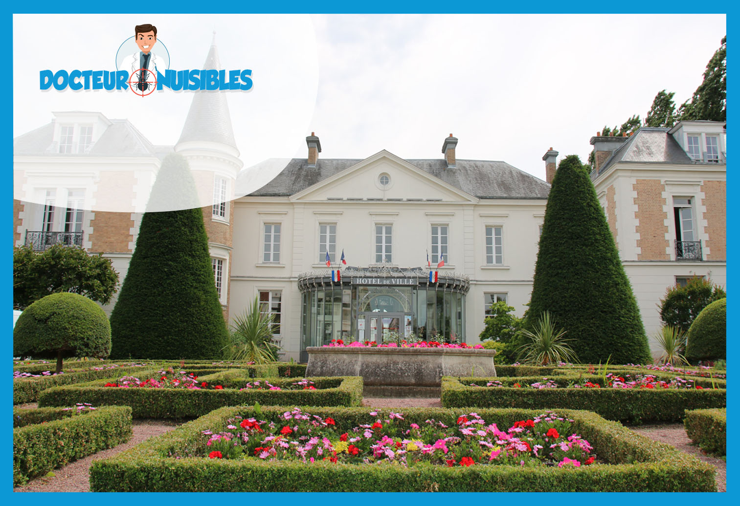 Dératisation à Roissy en Brie