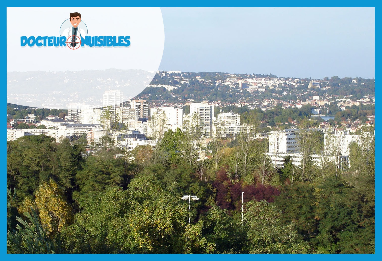 Désinsectisation à Saint Gratien