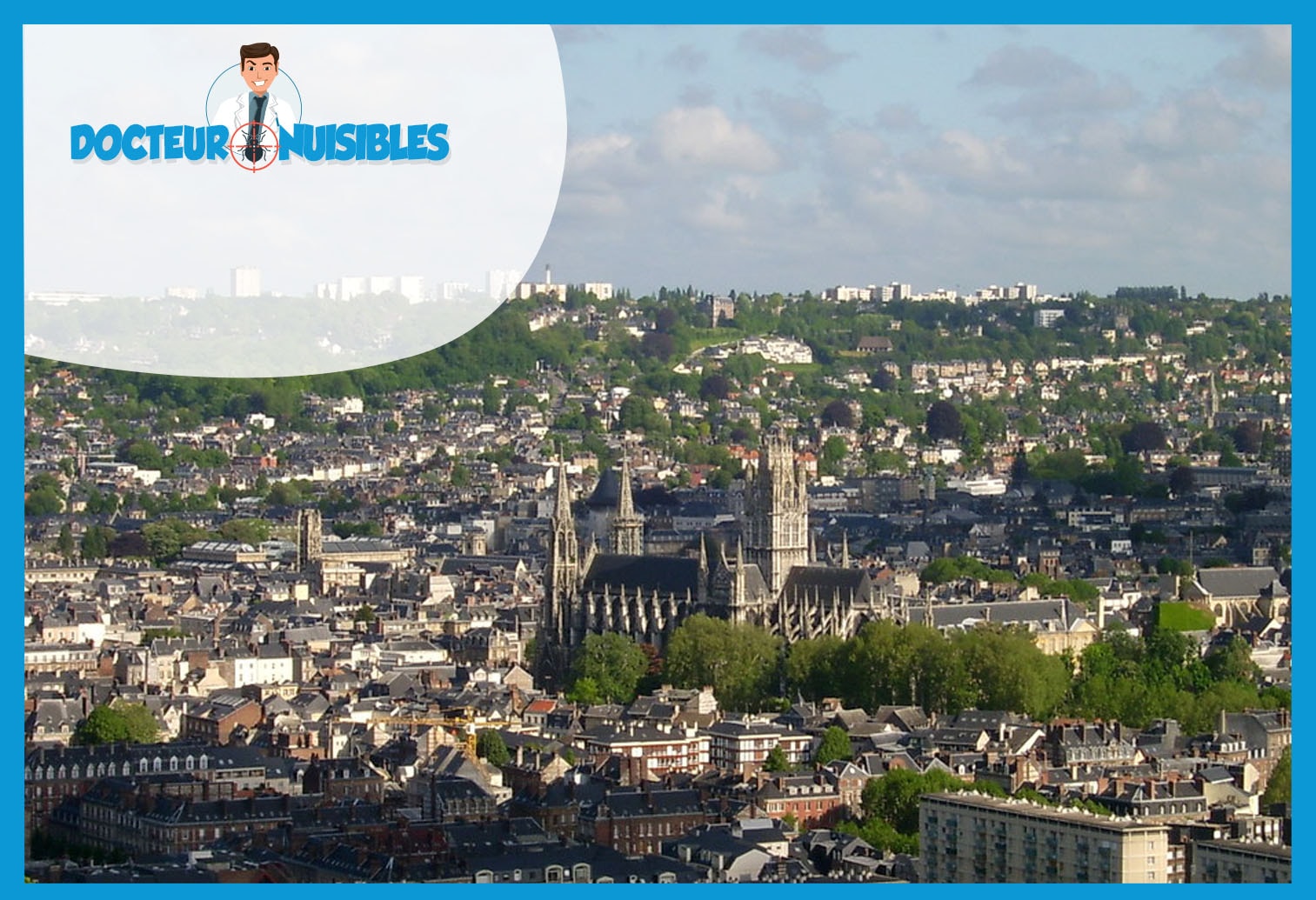 Dératisation à Saint Ouen