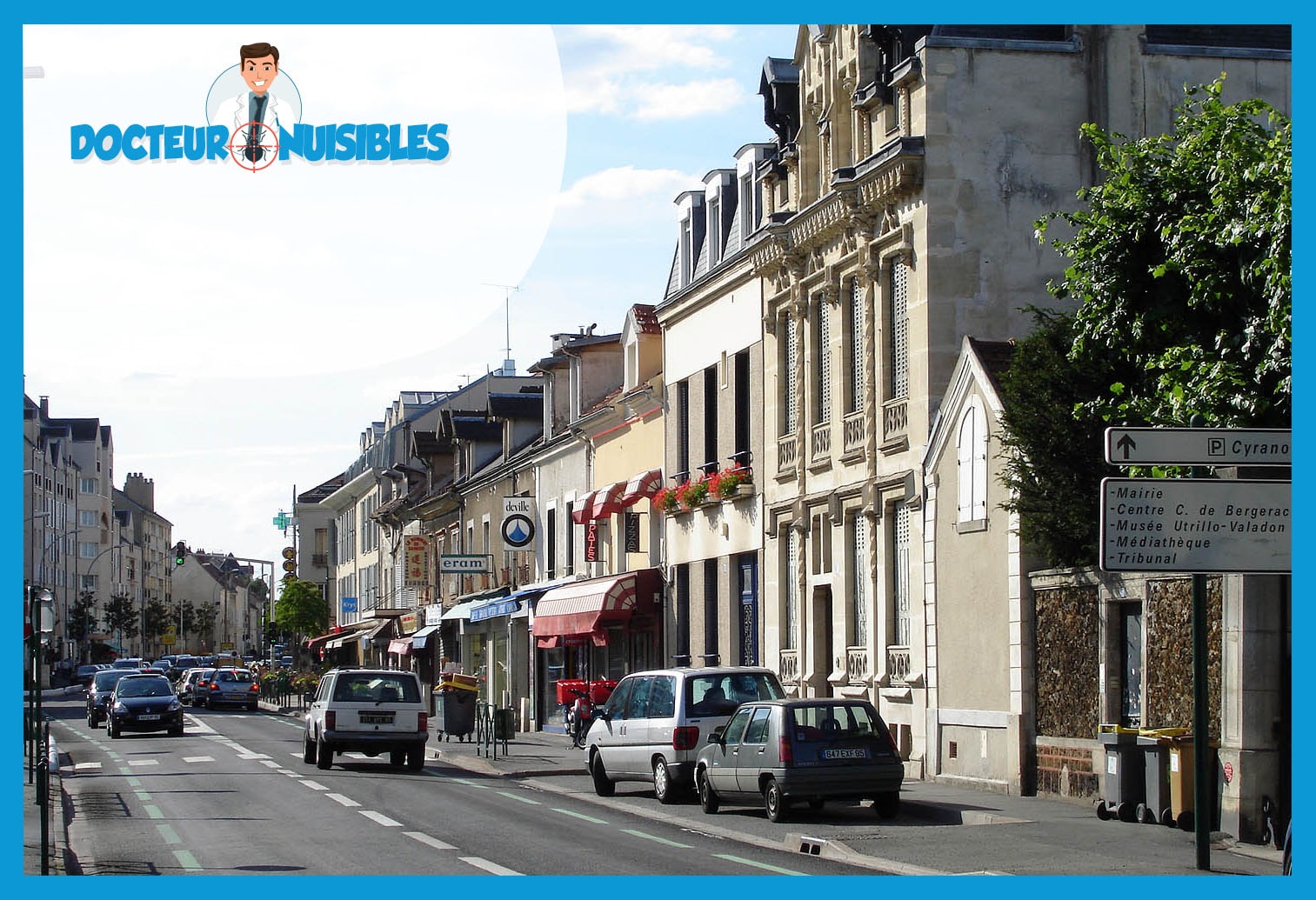 Désinsectisation à Sannois