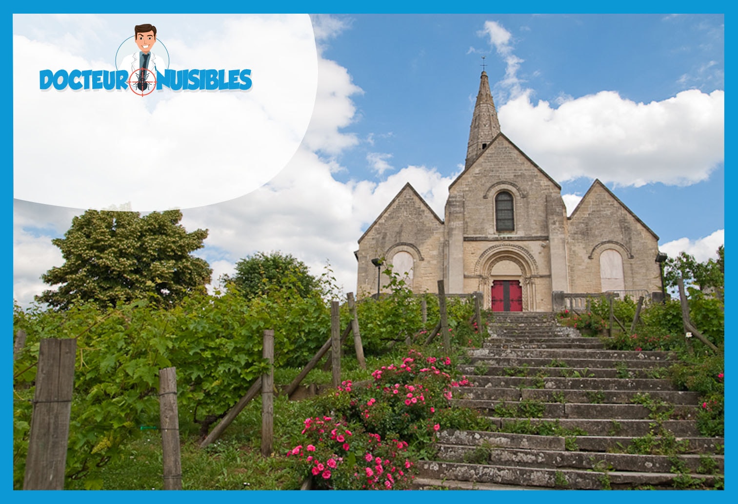 Désinsectisation à Sartrouville