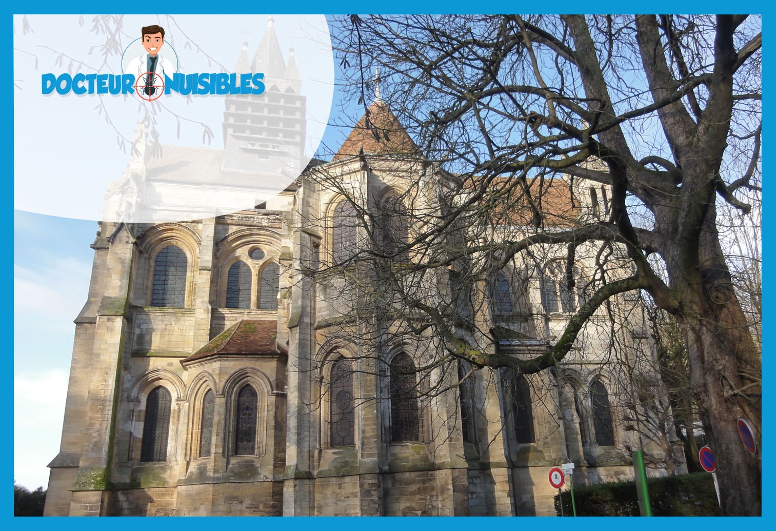 Dératisation à Taverny