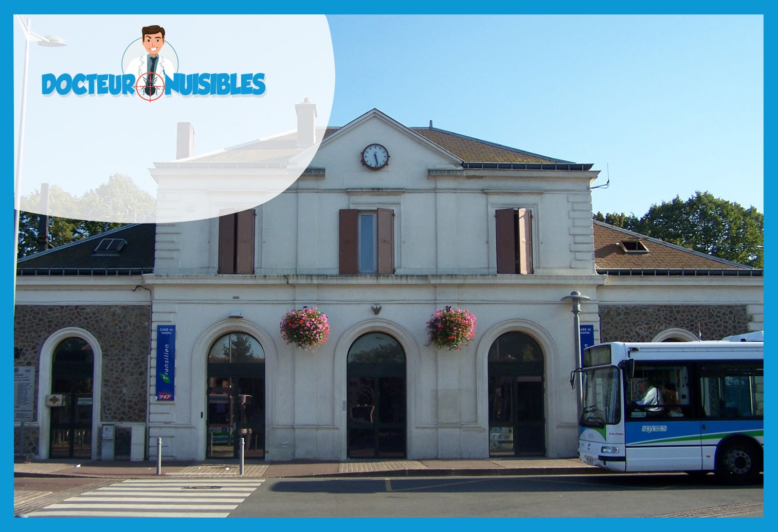 Désinsectisation à Trappes