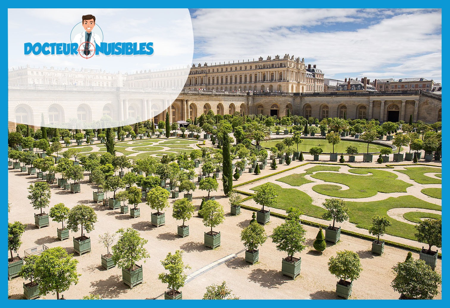 Désinsectisation à Versailles