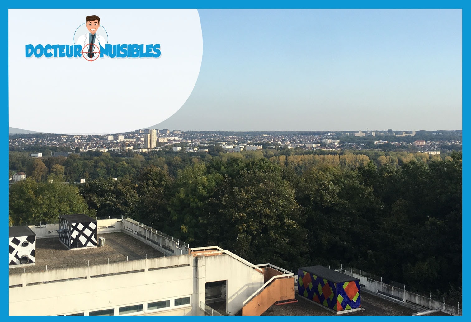 Punaises de lit à Vigneux sur Seine