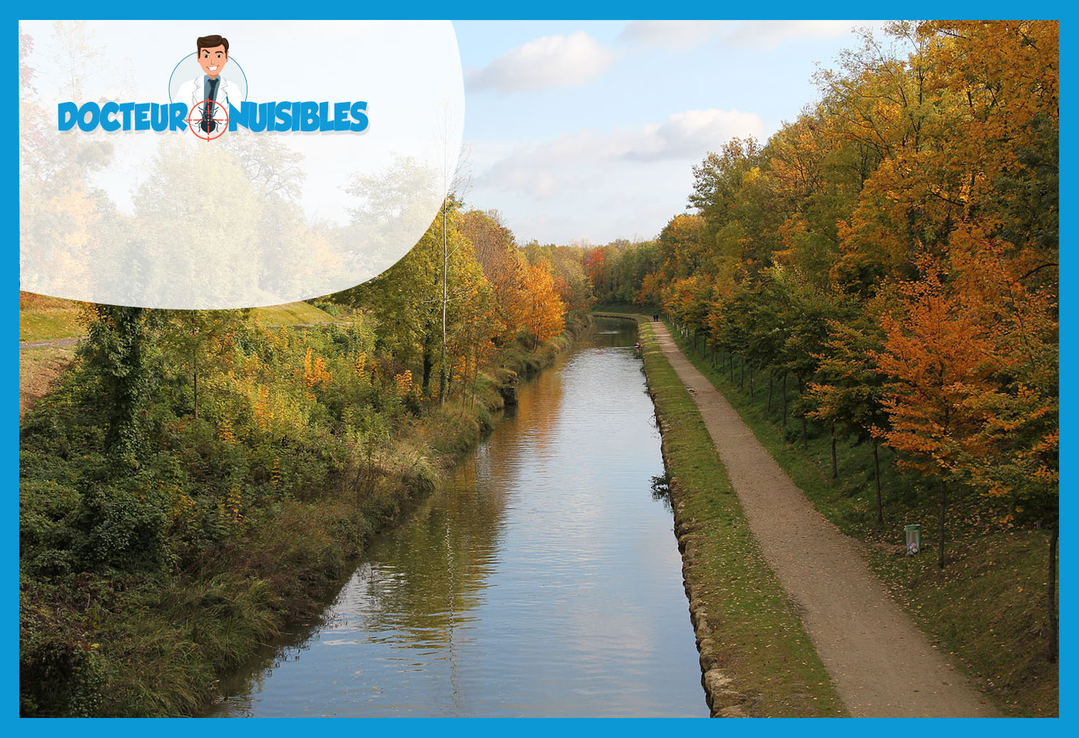 Dératisation à Villeparisis