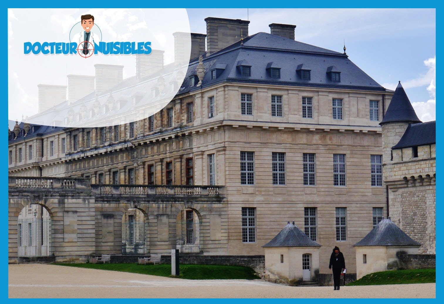 Désinsectisation à Vincennes